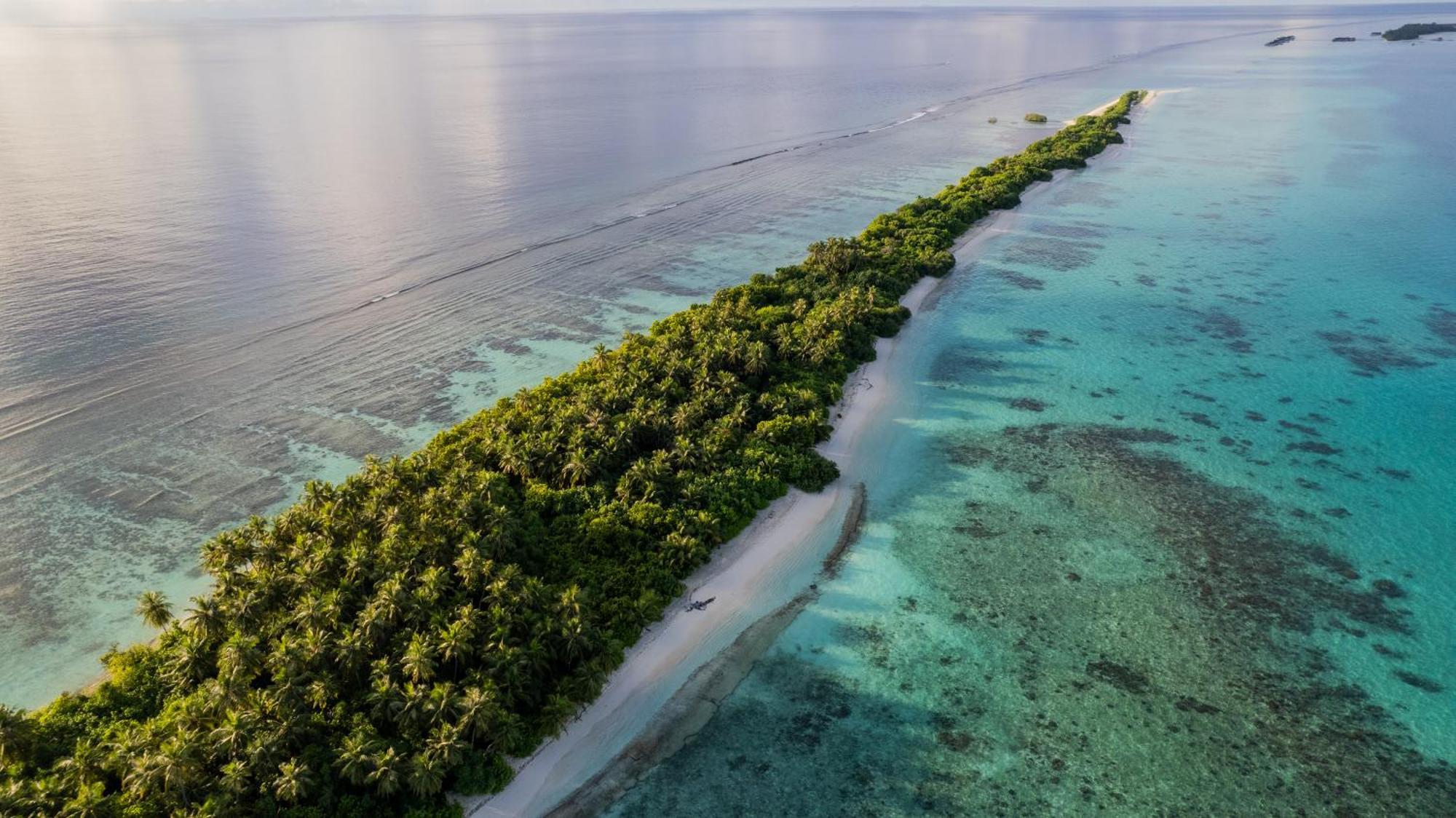 Whaleshark Beach Dhigurah  Extérieur photo